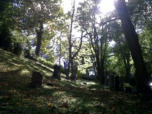 I do on occasion take walks through cemeteries.