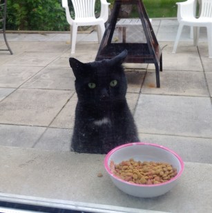 IMG_20170628_181213_edit